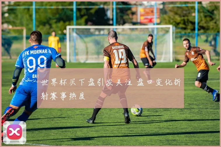 世界杯买下盘引发关注 盘口变化折射赛事热度