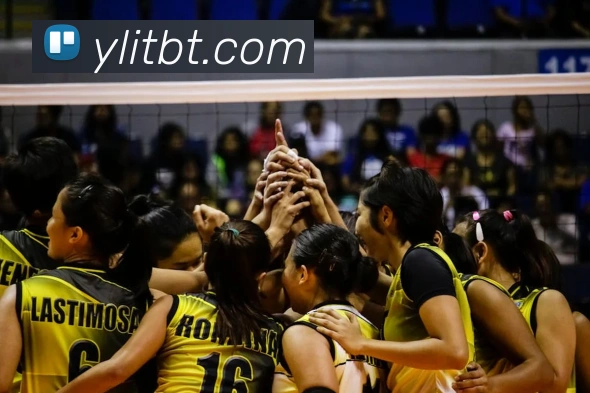 世界杯官方网络平台平台生态图